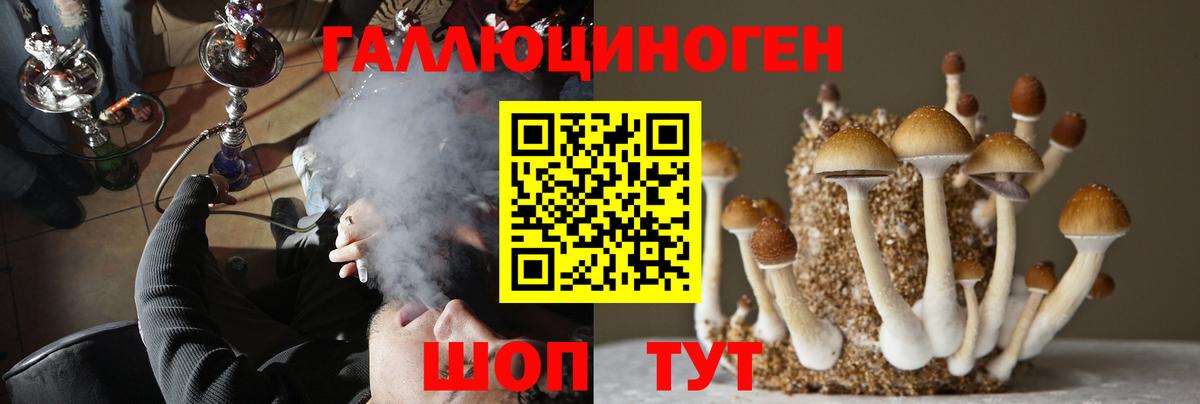 Наро-Фоминск  Псилоцибиновые грибы Cubensis  Вход с VPN 